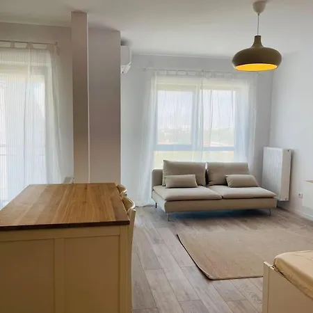 Apartment Beautiful Studio With Politehnica Park View *